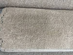 lot 561 image: 12 x 16 Roll (192 Sq Ft) Masland Embrace Anzac Carpet
