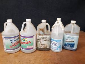 lot 2170 image: Lot of (6) Partial Jugs of Cleaning Ammonia