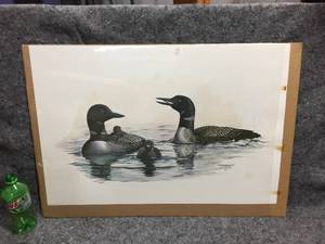 lot 15 image: Vintage The Common Loon Print by Harold R. Roe
