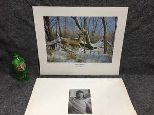 lot 79 image: Richard W. Plasschaert Winter Whitetail Singed & Numbered Unframed Wildlife Print
