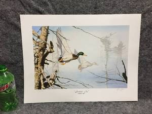 lot 78 image: Brian Jarri Settlin In Signed & Numbered Unframed Wildlife Print