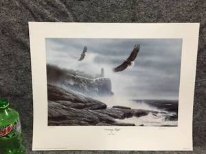 lot 76 image: Kevin Daniel Soaring High Signed & Numbered Unframed Wildlife Print
