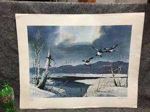 lot 72 image: LES Kouba Unframed Signed & Numbered Wildlife Print
