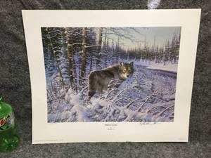 lot 81 image: Michael Sieve Northern Guard Signed & Numbered Unframed Wildlife Print