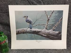lot 82 image: Daniel Smith Winter Sentinel Signed & Numbered Unframed Wildlife Print