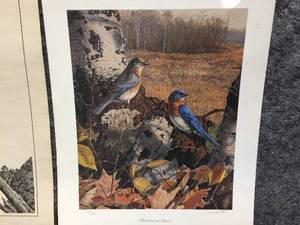 lot 87 image: Bruce Miller & Others Wildlife Prints