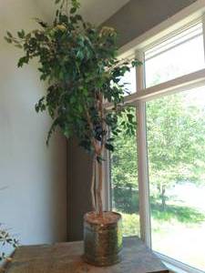 lot 73 image: Artificial Tree With Planter 8 Tal...