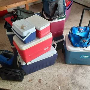 lot 511 image: MASSIVE lot of Coolers for all occa...