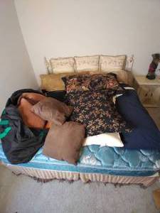 lot 187 image: Huge Lot of Pillows, Includes Body ...