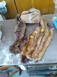 lot 282 image: Animal Hide Shawls() & Stetson Sho...