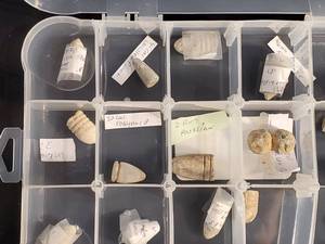 lot 119 image: Assorted Civil War Bullets Various Calibers