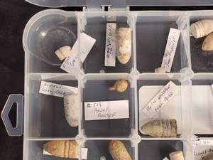 lot 121 image: Assorted Civil War Bullets Various Calibers