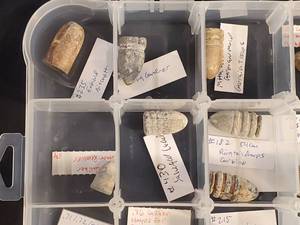 lot 157 image: Assorted Civil War Bullets Various Calibers