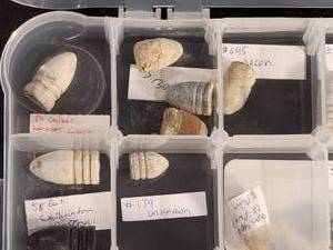 lot 158 image: Assorted Civil War Bullets Various Calibers
