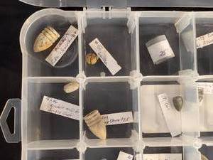 lot 159 image: Assorted Civil War Bullets Various Calibers