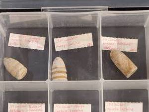 lot 350 image: GREAT VALUE Assorted Civil War Bullets Various Calibers