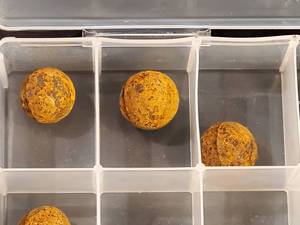 lot 364 image: Original Civil War Grapes