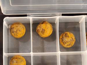 lot 365 image: Original Civil War Grapes