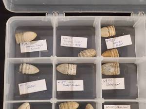 lot 366 image: Assorted Civil War Bullets Various Calibers