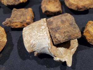 lot 369 image: Original Civil War Assorted Artillery Projectile Fragments Lot