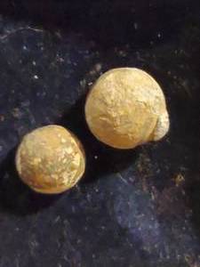 lot 425 image: Civil War Original .36 & .31 Caliber Pistol Balls Recovered from The Chattanooga Battle Grounds
