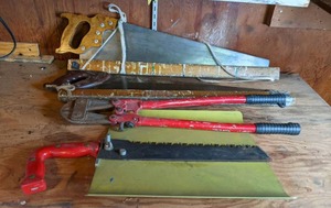 lot 22 image: Misc. Saws and Bolt Cutters