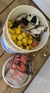 lot 461 image: Lot of Golf Balls and a Pair of Gloves