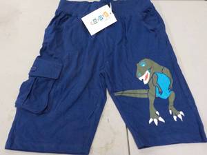 lot 198 image: 10 Size 7  Coyote and Co Dinosaur S...
