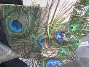 lot 193 image: 2 Sets of 4 - 18x18 inch Peacock Fe...