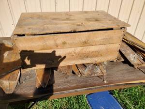 Muskrat Skinning Boards, approx. 30 in antique Pine Box