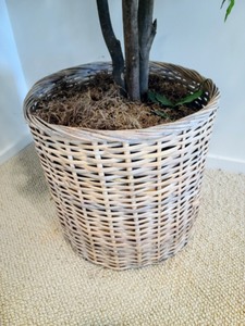 Large Potted Faux Foliage