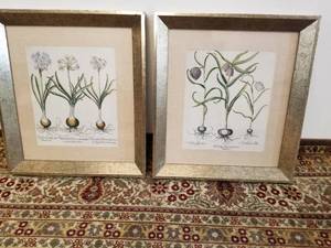 2 Botanical Lithos