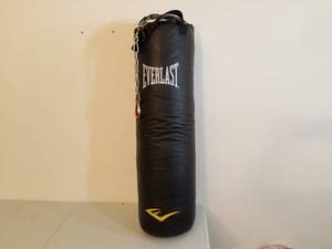 Everlast Heavy Bag