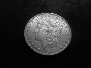 1880 S Morgan Silver Dollar