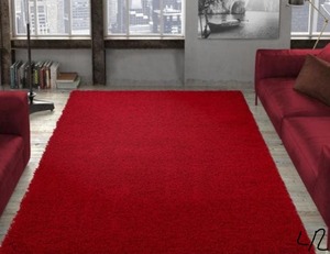 lot 42 image: Lifestyle Shaggy Collection Red 5 ft. x 7 ft. Shag Area Rug