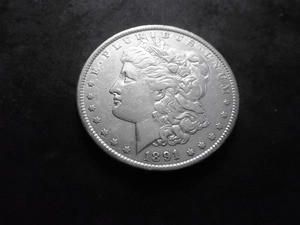 1891 Morgan Silver Dollar