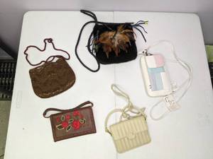 lot 132 image: Lot of (5) Small Purses Leather, Brown, Beige