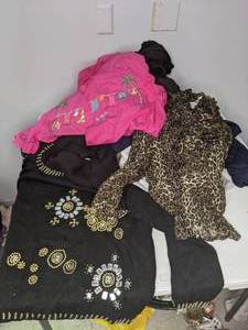 lot 291 image: Lot of Assorted Womens Clothing Mostly Tops (12)