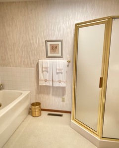 lot C135 image: Contents of Master BathCloset