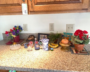 lot E122 image: Home Decor Assortment