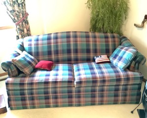 lot F031 image: Sofa Sleeper