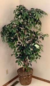 lot B016 image: Artificial Tree