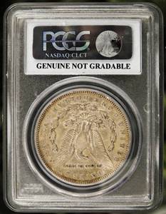 1893 CC Carson City Morgan Dollar P...
