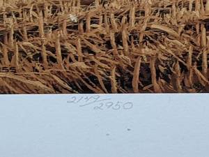 lot 35 image: Golden Bounty, Canada Geese by David A. Maas Ltd. Edition, Framed