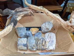 lot 56 image: Decorative Driftwood & Rocks