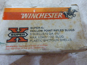 Winchester Super X Hollow Point Rifled Slugs