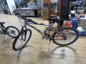 Mongoose 21 Speed Bicycle