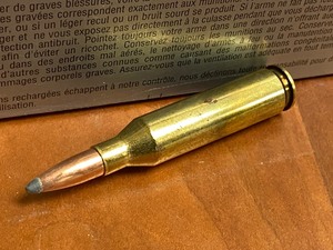 (20) Rounds Of Winchester Super-X ....
