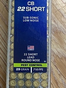 (100) Rounds .22-Short