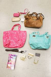 lot 17 image: Womens Hand Bags And Accessories Lot